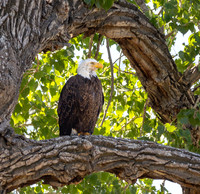 Nature and Wildlife Photography
